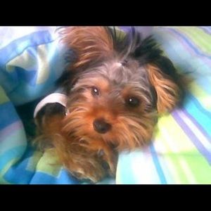 Meet your Posher, Aly